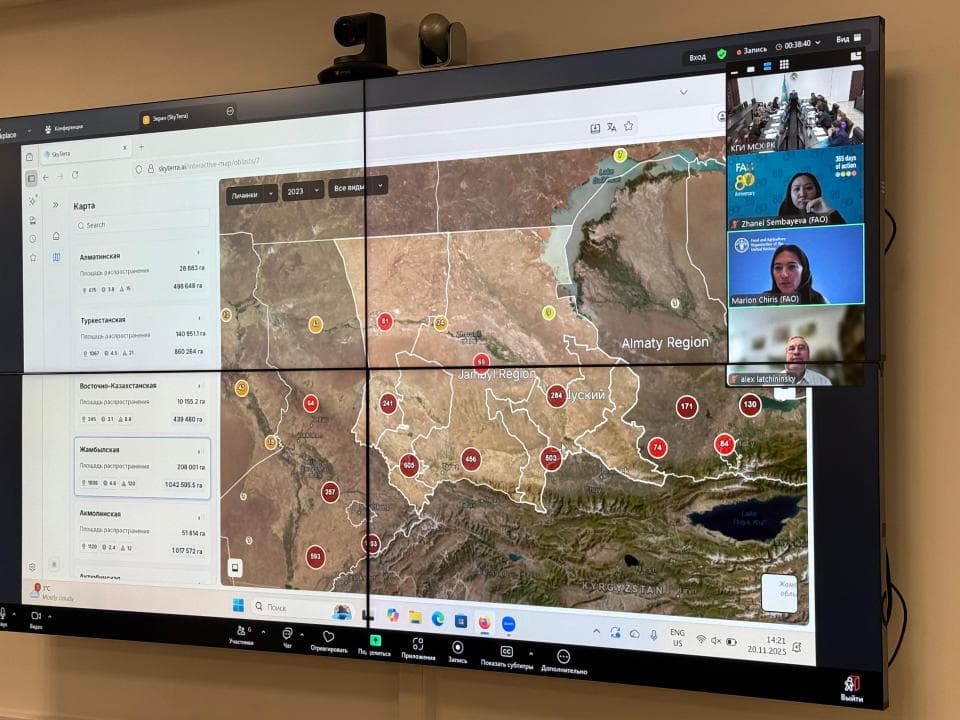 Минсельхоз и ФАО запускают интеллектуальную систему мониторинга саранчовых вредителей