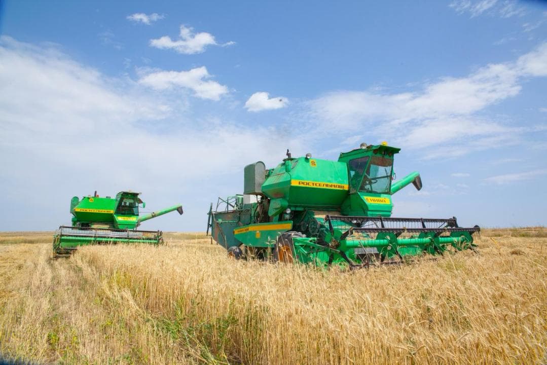 В Казахстане намолочено 26,9 миллиона тонн зерновых 