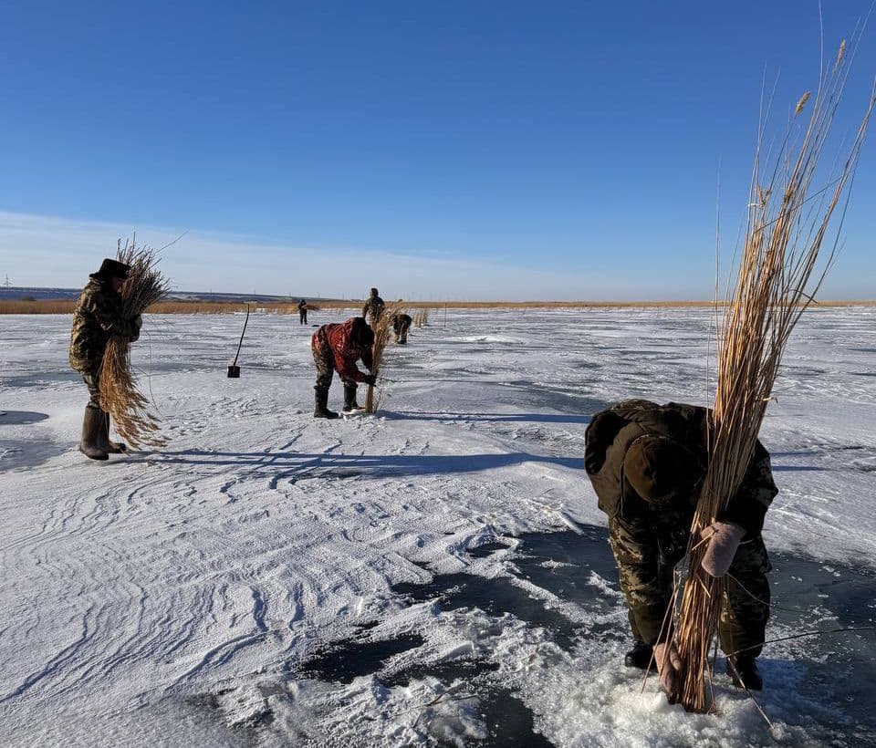В водоемах Казахстана начались работы по аэрации