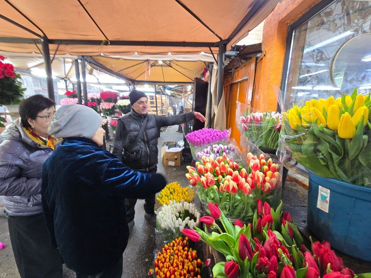 Эволюция 8 Марта