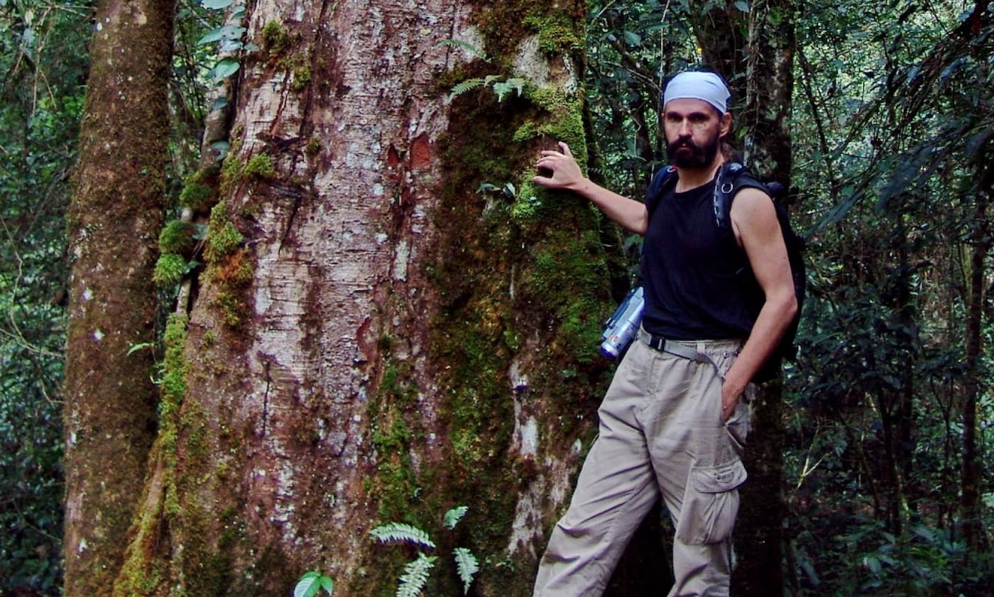 Джунгли Борнео