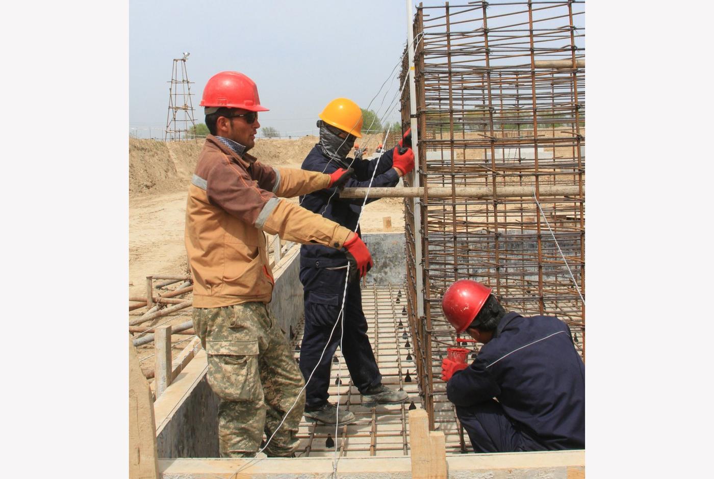 Дружный трудовой коллектив