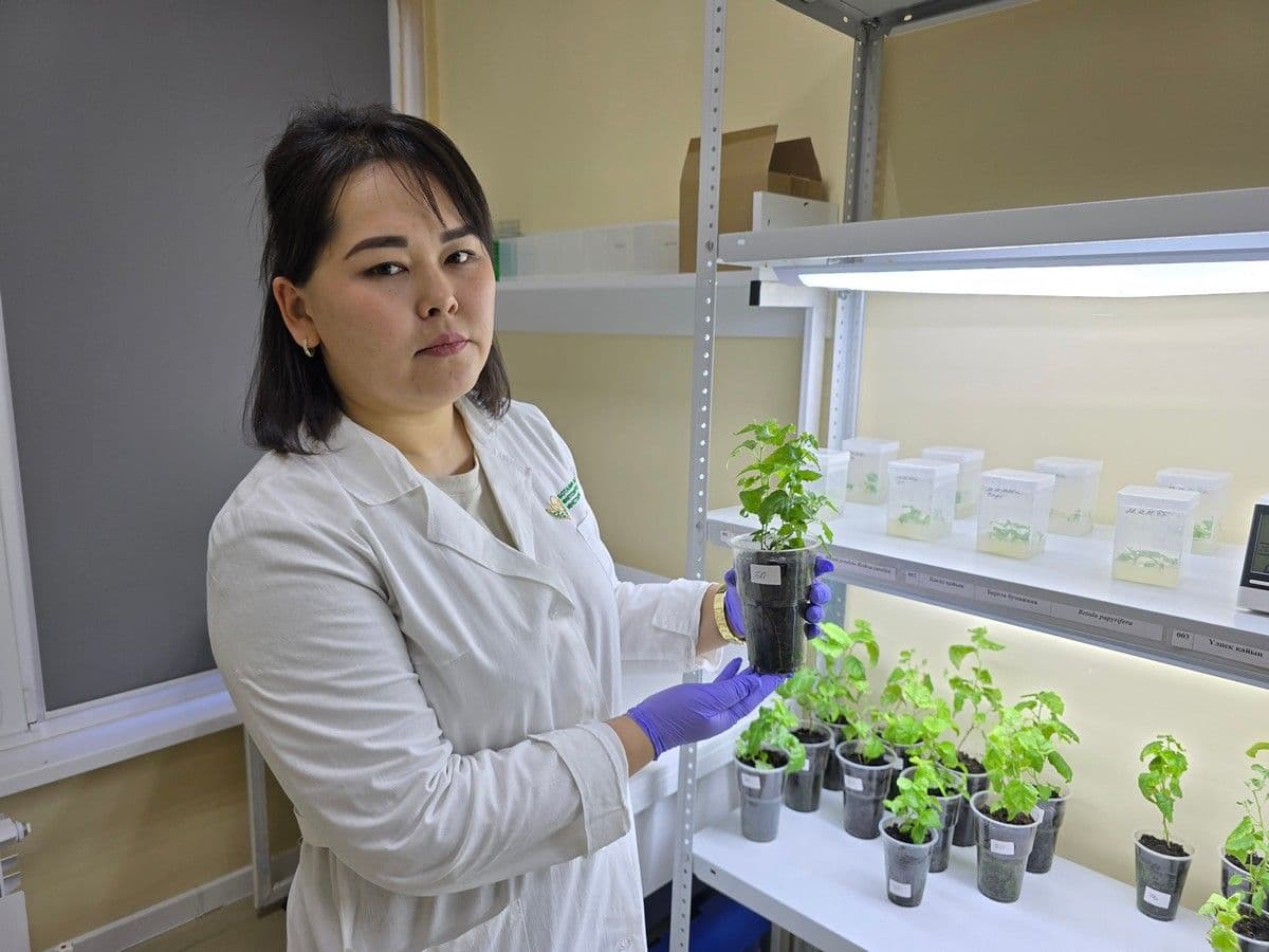 Проект научного озеленения