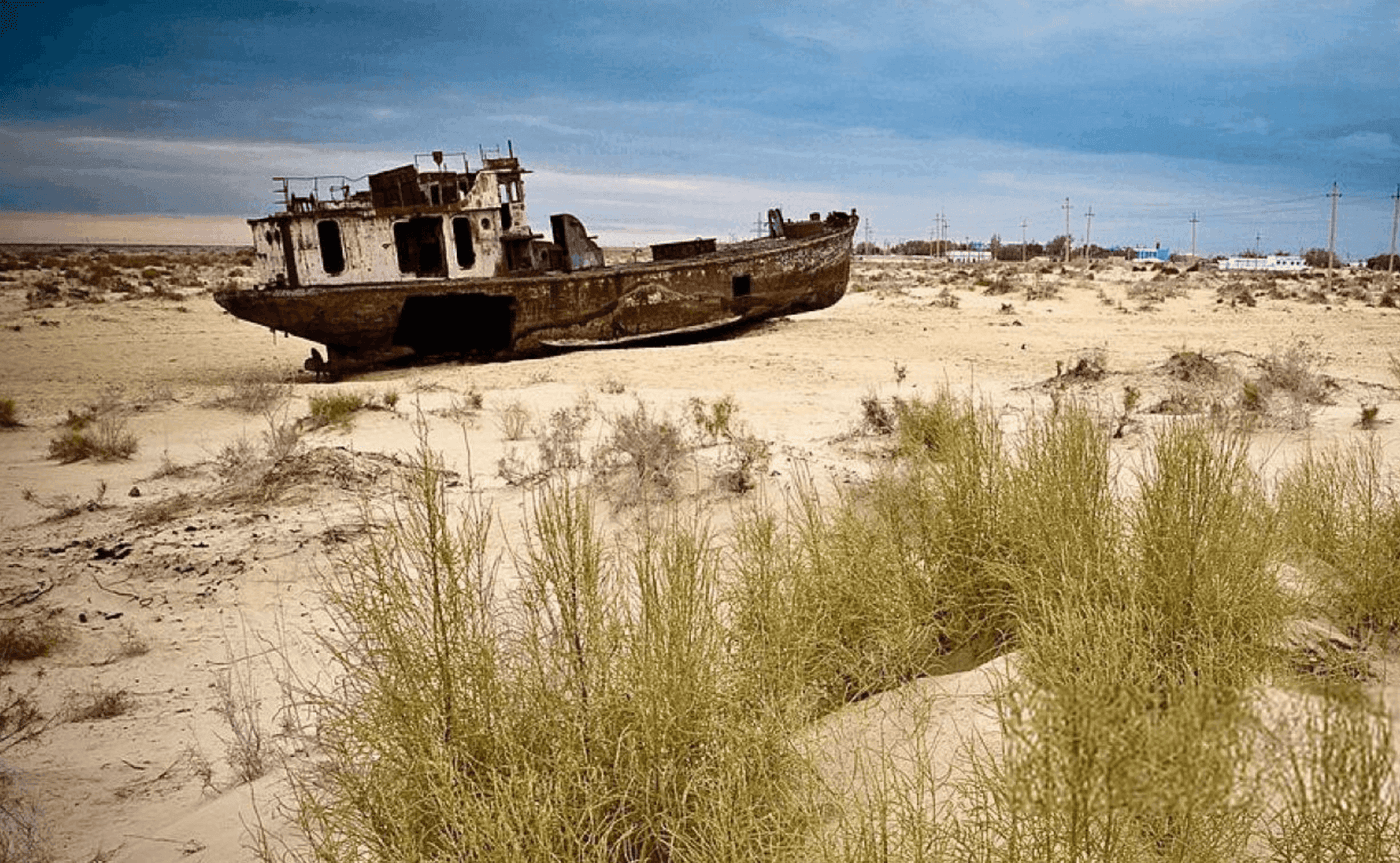Сохранение Северного Арала
