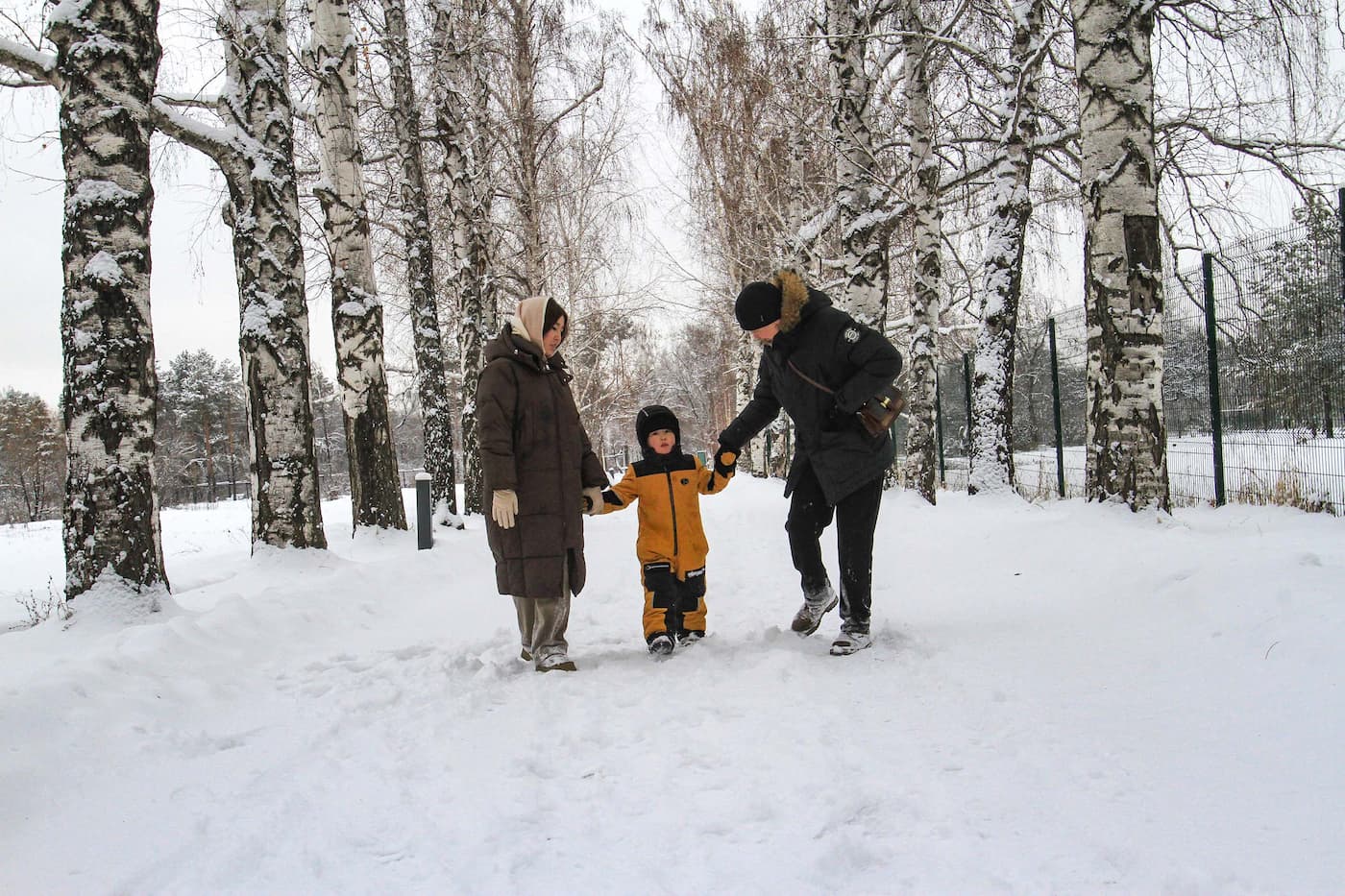 Сон в зимнюю ночь 