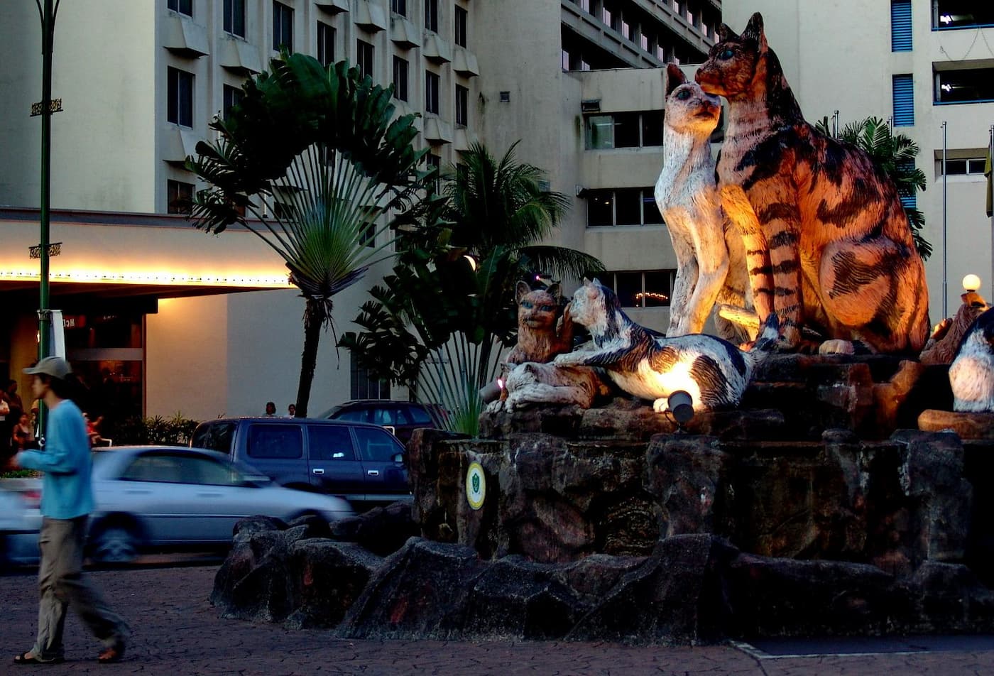 Джунгли Борнео