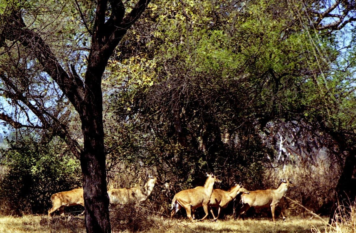 Открой свою Индию