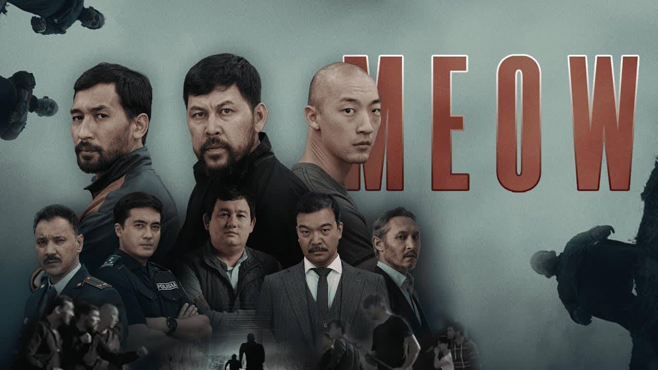 Сериал MEOW. Горькая правда