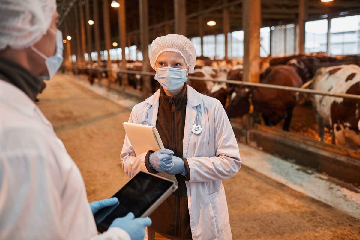 Главное — кадровый потенциал