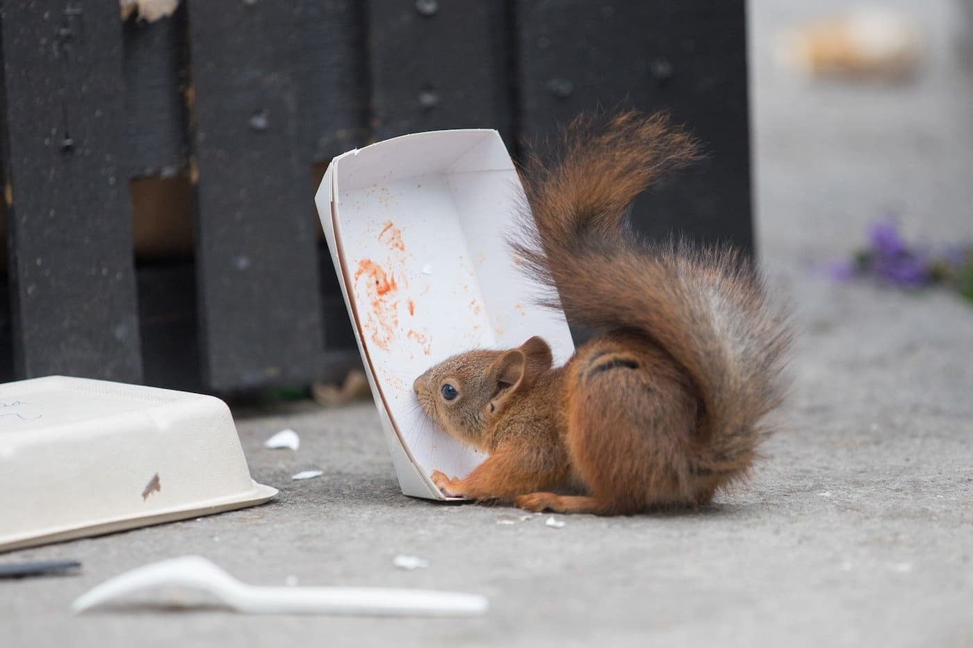 Грязное дело