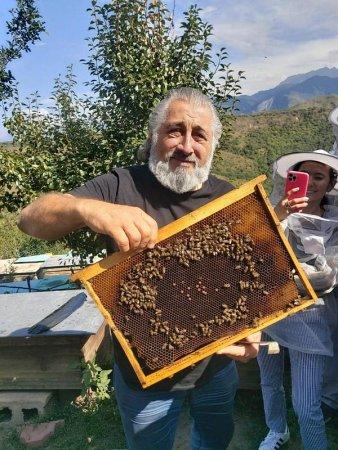 Жжжизнь и пчелы!