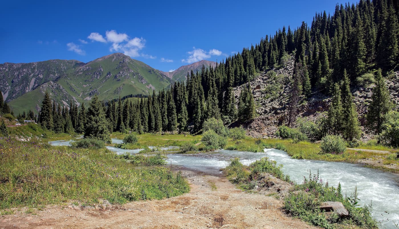 Национальная горная идея