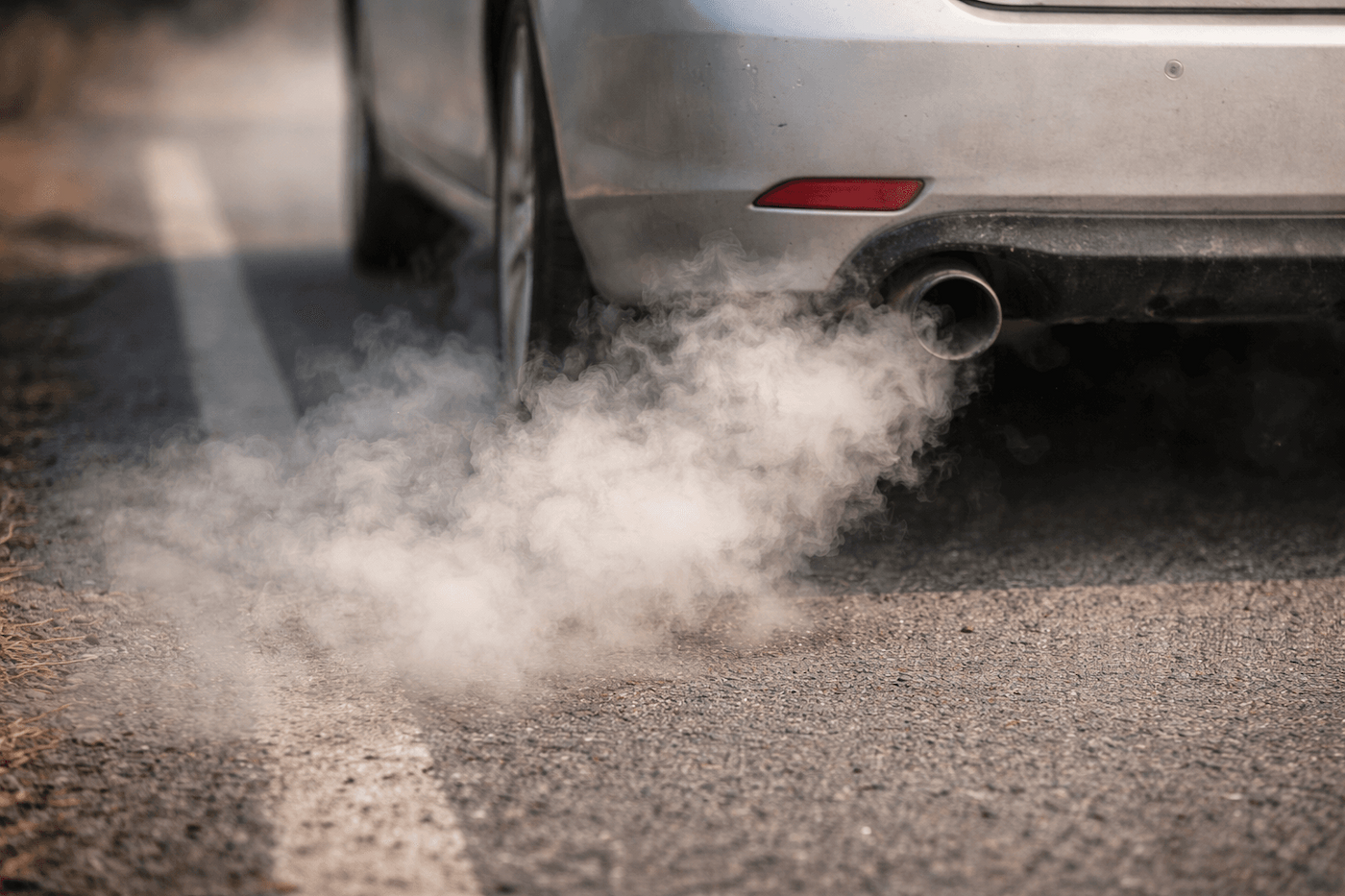 «Чистая» прибыль