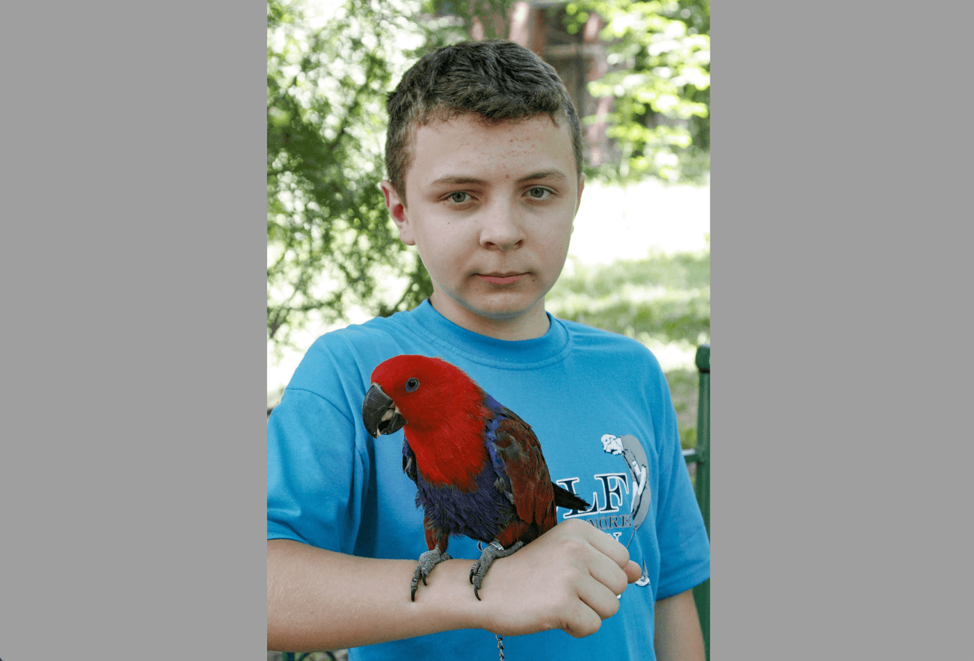 Животный страх