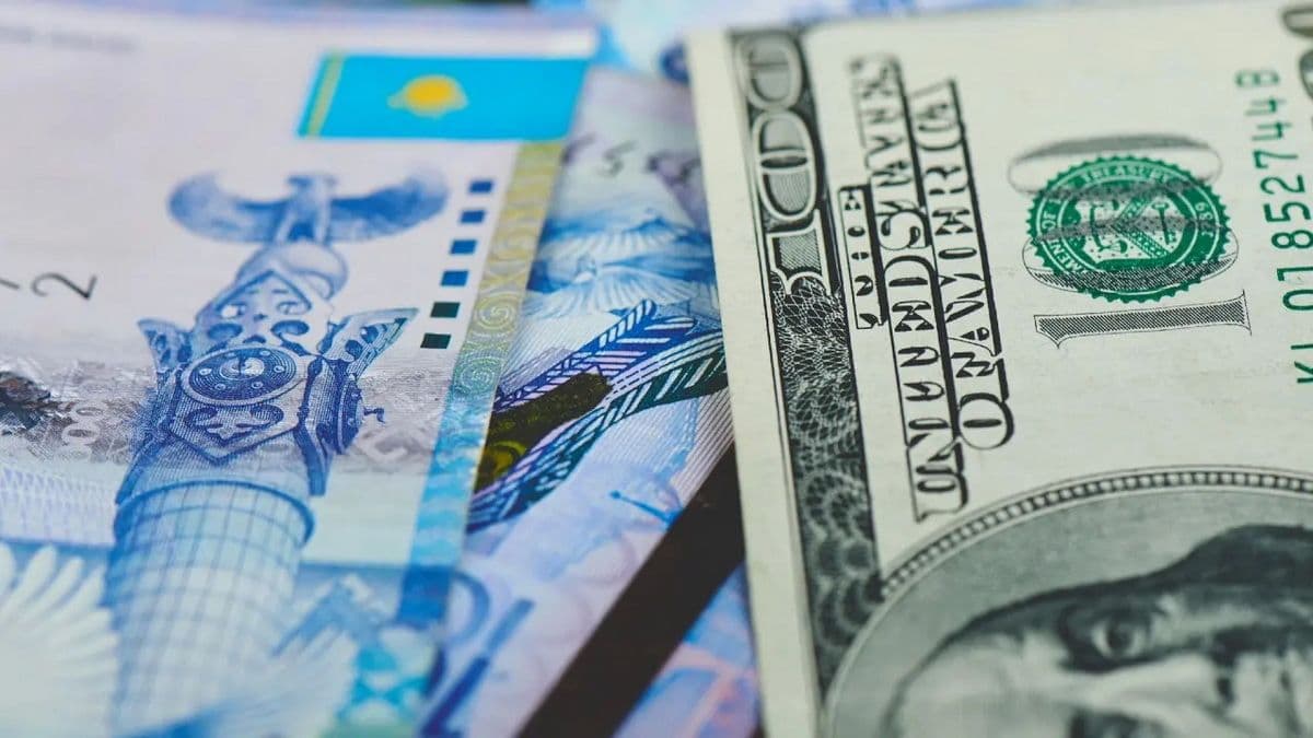 Два берега у одной реки