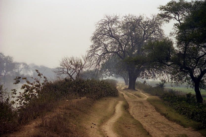 Открой свою Индию