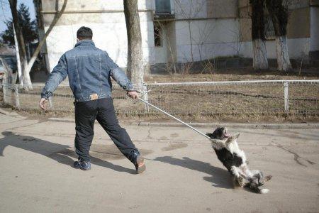 Если человек напал на собаку
